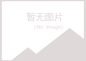 大同南郊夏日采矿有限公司